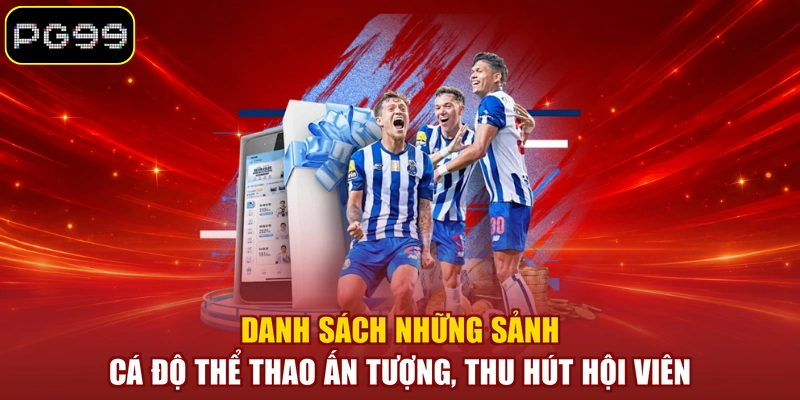 Danh sách những sảnh cá độ thể thao ấn tượng, thu hút hội viên